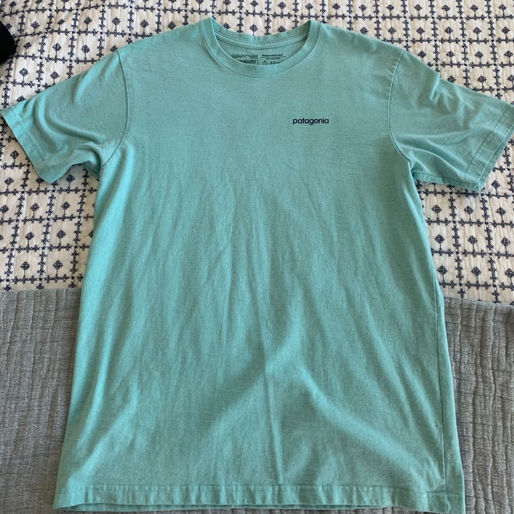 Patagonia T Shirt